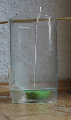 vorbereitet